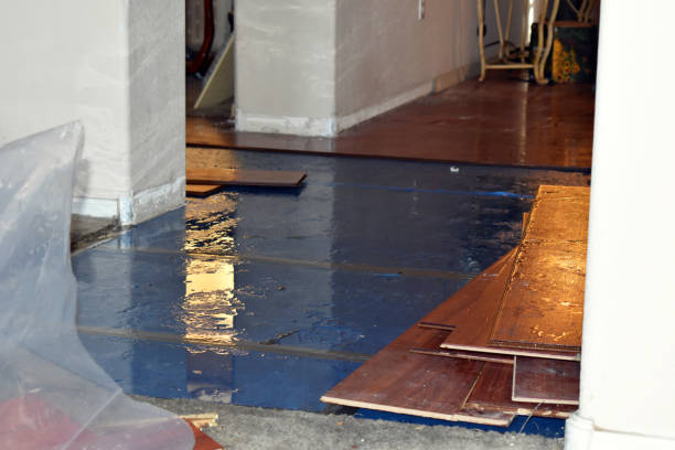 Professional Basement Flood Cleanup technician working in Lascassas, TN